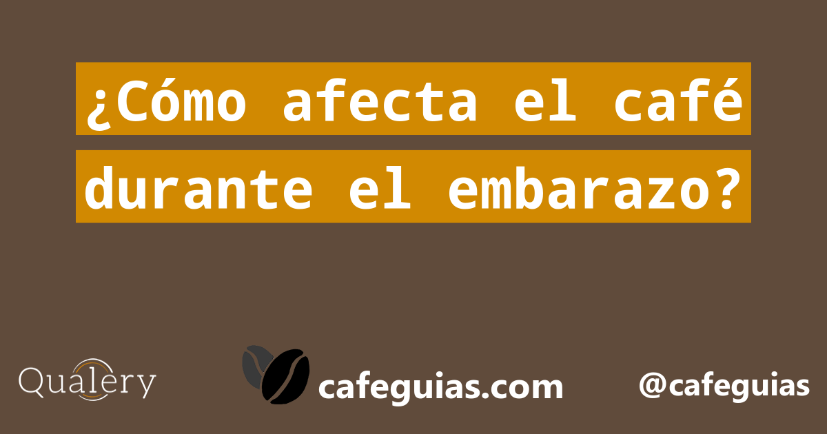 ¿Cómo afecta el café durante el embarazo? Café Guía
